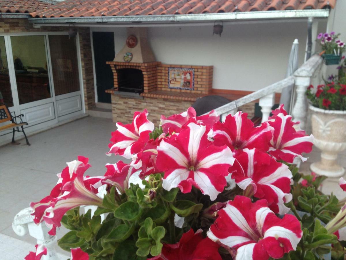 Casa Ferreira